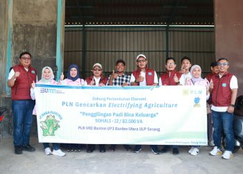 Dukung Penggunaan Energi Listrik di Sektor Pertanian, PLN UID Banten Gencar Sosialisasikan Electrifying Agriculture