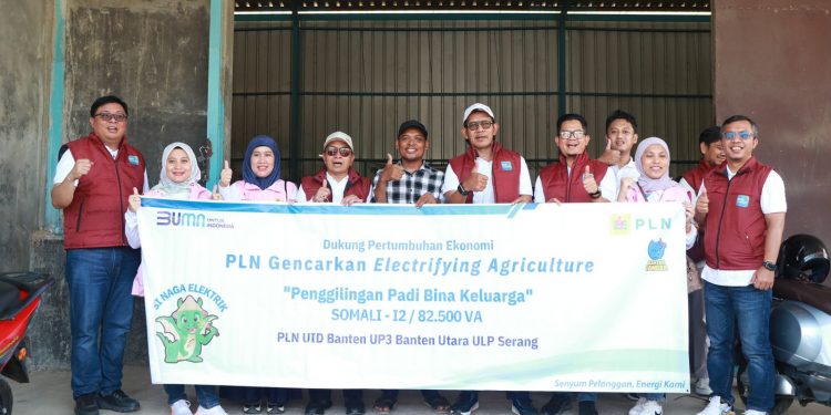 Dukung Penggunaan Energi Listrik di Sektor Pertanian, PLN UID Banten Gencar Sosialisasikan Electrifying Agriculture