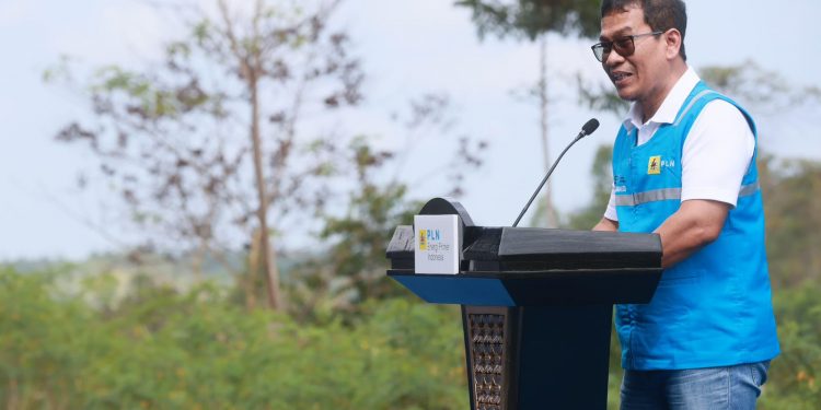 Program Pengembangan Ekosistem Biomassa Pertanian Terpadu: PLN Libatkan Masyarakat Mengolah Lahan Kritis Menjadi Produktif