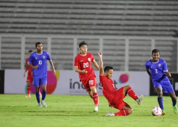 Program Pengembangan Ekosistem Biomassa Pertanian Terpadu: PLN Libatkan Masyarakat Mengolah Lahan Kritis Menjadi Produktif