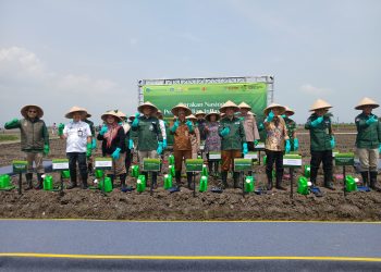 Sekolah Lapang Produk Pertanian dan Hortikultura, Terobosan Inovatif untuk Kendalikan Inflasi Banten