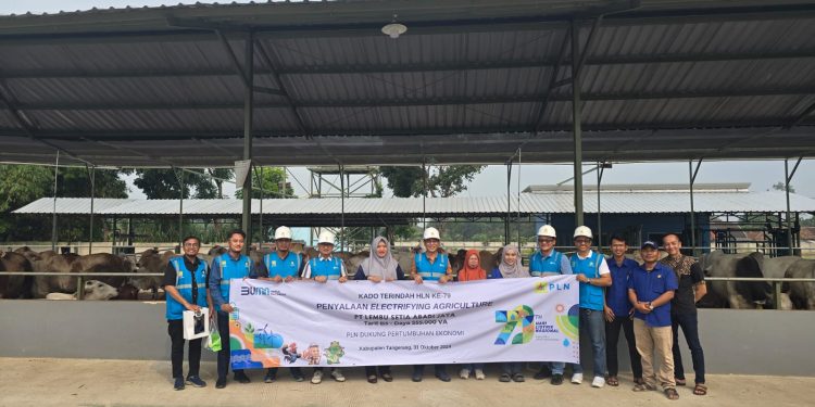 GM PLN UID Banten: Memanfaatkan Energi Listrik, Produksi di Sektor Agrikultur Dapat Lebih Maksimal