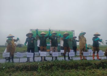 Jelang Nataru, PLN Pastikan Kesiapan Layanan Listrik Menyeluruh