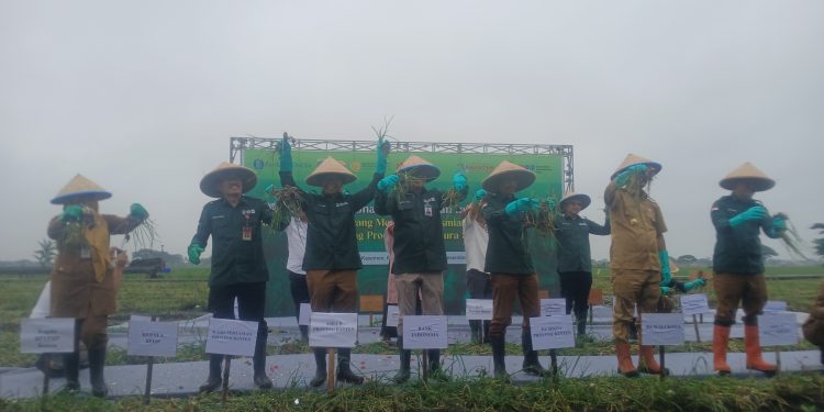 Jelang Nataru, PLN Pastikan Kesiapan Layanan Listrik Menyeluruh