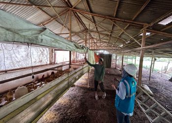 program Electrifying Agriculture : Bukti Komitmen PLN UID Banten Dukung sektor Pertanian dan Peternakan