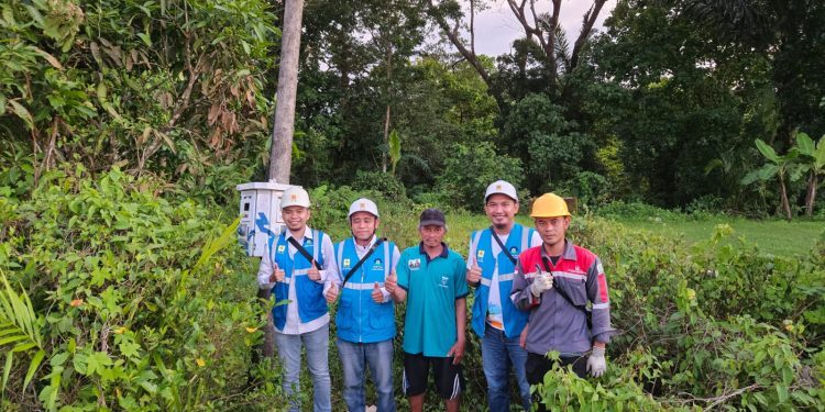 PLN UID Banten Terus Perkuat Ketahanan Pangan Nasional Melalui Program Electrifying Agriculture di Banten Selatan