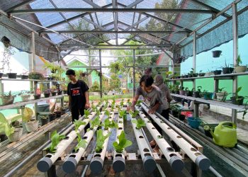 Penghijauan Berbasis Edukasi! Inisiatif KKM 22 Unsera di SMAN 6 Serang