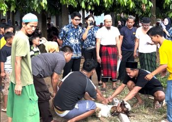 Aston Hotels Banten Salurkan Hewan Kurban dalam Semangat Idul Adha 2025