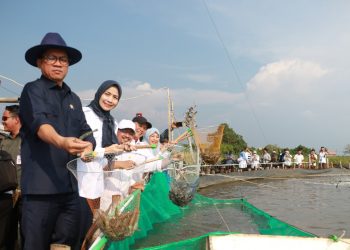 PLN Banten Terus Dukung Sektor Industri, Sukses Tambah Daya Listrik PT Sulindafin