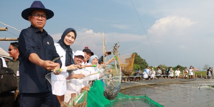 PLN Banten Terus Dukung Sektor Industri, Sukses Tambah Daya Listrik PT Sulindafin