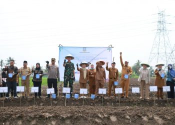 Bupati Ratu Zakiyah Launching Program Ratu Tani Wujudkan Swasembada Pangan