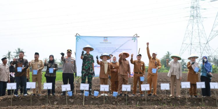 Bupati Ratu Zakiyah Launching Program Ratu Tani Wujudkan Swasembada Pangan