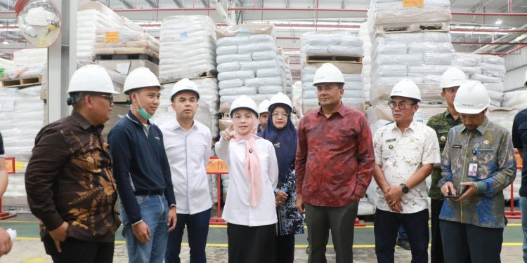 Kunjungi Bupati Serang Ratu Zakiyah, Anggota DPR RI Annisa Mahesa Serap Aspirasi Soal Keuangan