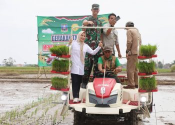 Bupati Serang Ratu Zakiyah Lakukan Percepatan Tanam Padi Gunakan Transplanter di Kramatwatu