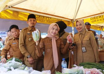 Melalui ASEAN Power Grid, PLN Tegaskan Komitmen Integrasi Sistem Kelistrikan Hijau Lintas Negara