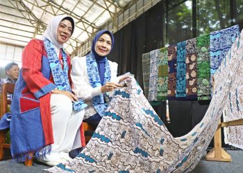 Program Lisdes: Kementrian ESDM Targetkan Pembangunan Infrastruktur Kelistrikan di 1.285 Desa Hingga Akhir 2025