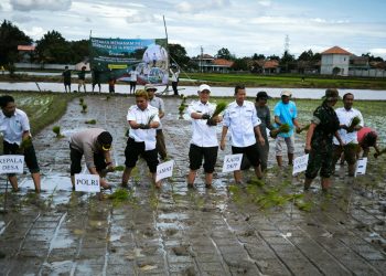 Penurunan Harga Pupuk Subsidi, Petani Kabupaten Serang Optimis Tingkatkan Produksi