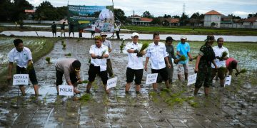 Penurunan Harga Pupuk Subsidi, Petani Kabupaten Serang Optimis Tingkatkan Produksi