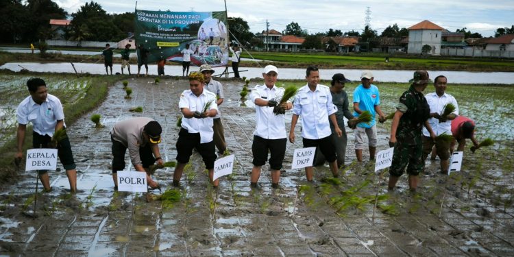 Penurunan Harga Pupuk Subsidi, Petani Kabupaten Serang Optimis Tingkatkan Produksi
