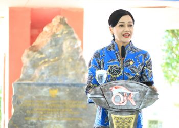 PLN Tebar Promo “Tahun Baru Energi Baru”: Tambah Daya Diskon 50% Lewat PLN Mobile