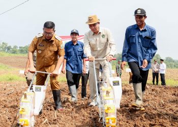 Gubernur Andra Soni Canangkan Gerakan Tanam Jagung untuk Ketahanan Pangan di Banten