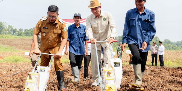 Gubernur Andra Soni Canangkan Gerakan Tanam Jagung untuk Ketahanan Pangan di Banten