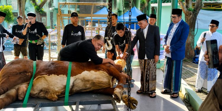 Sukseskan Idul Adha 1447 H, PLN UP3 Cikokol Kawal Pasokan Listrik Andal di Pusat Kota Tangerang