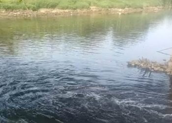 Andra Soni: DLHK Banten Temukan Penyebab Air Sungai Cisadane Menjadi Hitam