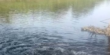 Andra Soni: DLHK Banten Temukan Penyebab Air Sungai Cisadane Menjadi Hitam