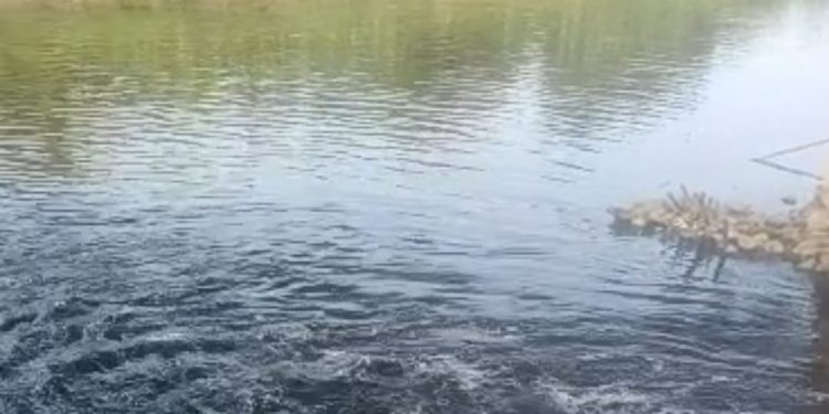 Andra Soni: DLHK Banten Temukan Penyebab Air Sungai Cisadane Menjadi Hitam